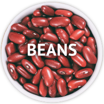 dry-kidney-beans-bowl.png