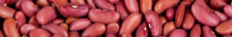 nutrition-beans-header.jpg