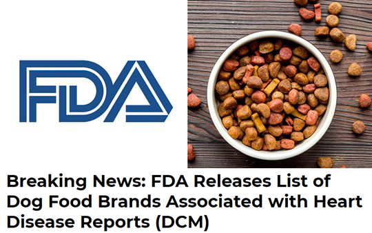 FDA DCM Update