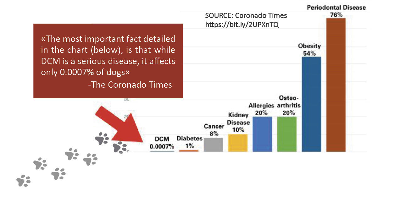 Common Health Issues in Dogs