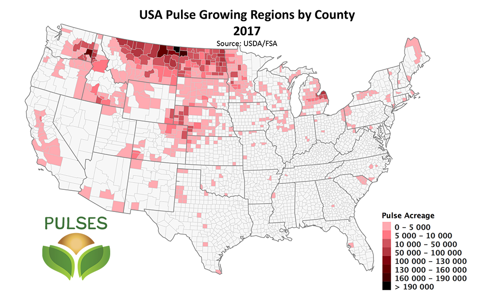 A map of pulse growing regions in the U.S.A. by county in 2017. Most growing occurs in the northern counties, between Washington state and Minnesota.