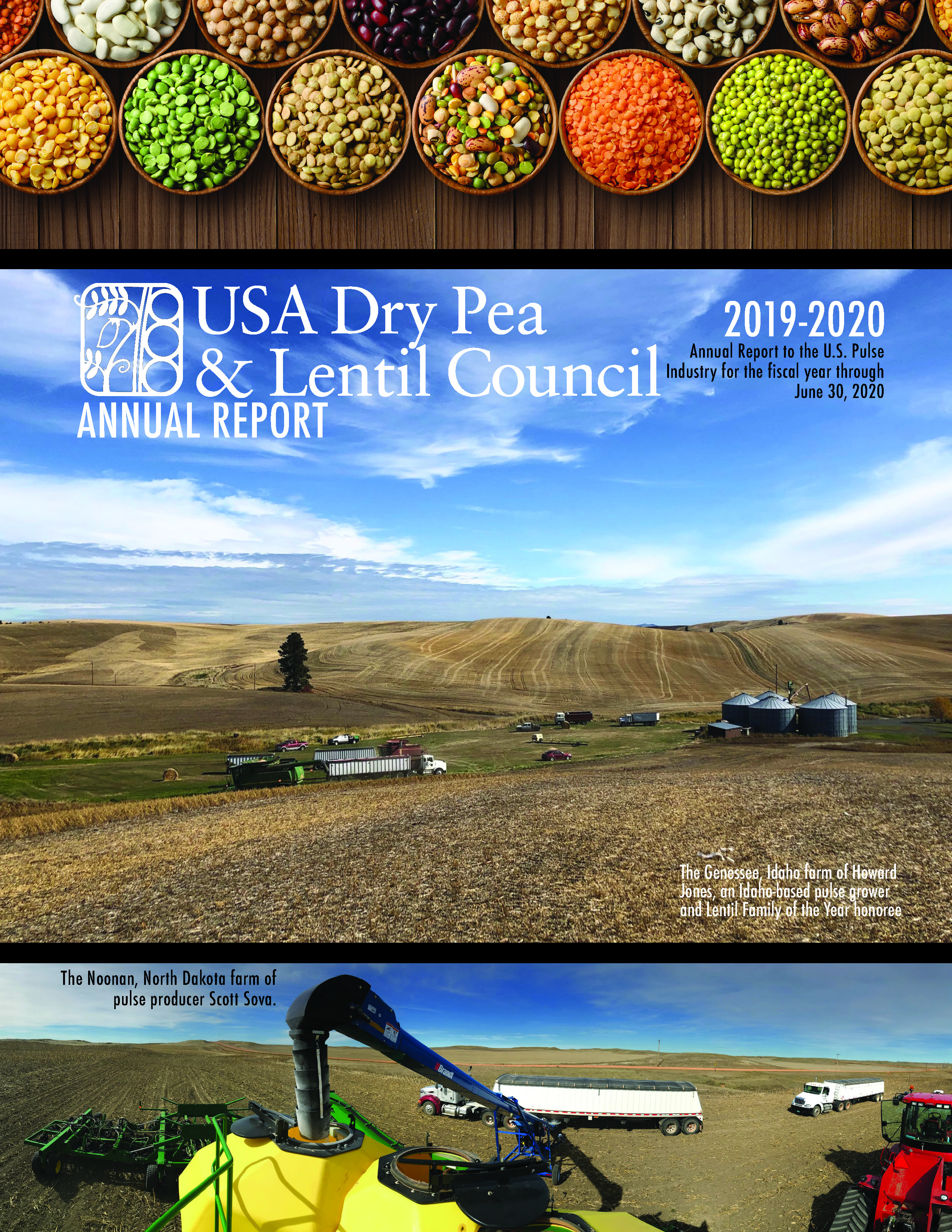 2019/20 Annual Report Cover