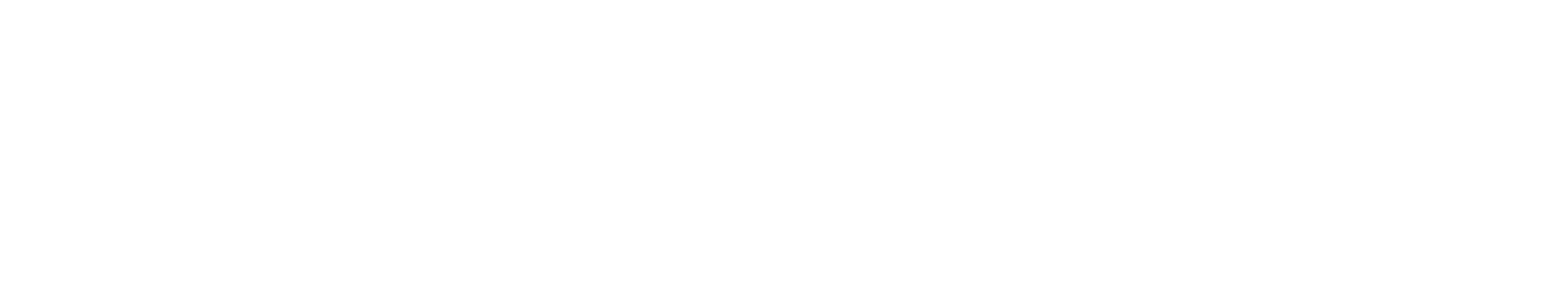 USADPLC Bug Logo