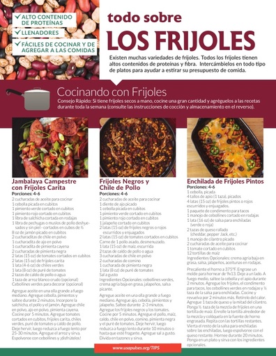 Todo sobre los frijoles