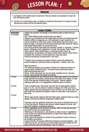 Pulse Curriculum Lesson 1 - Grade 4 page 2