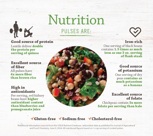 Pulses Are Nutrutious infographic