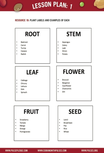 Grade 4 Resource 1B