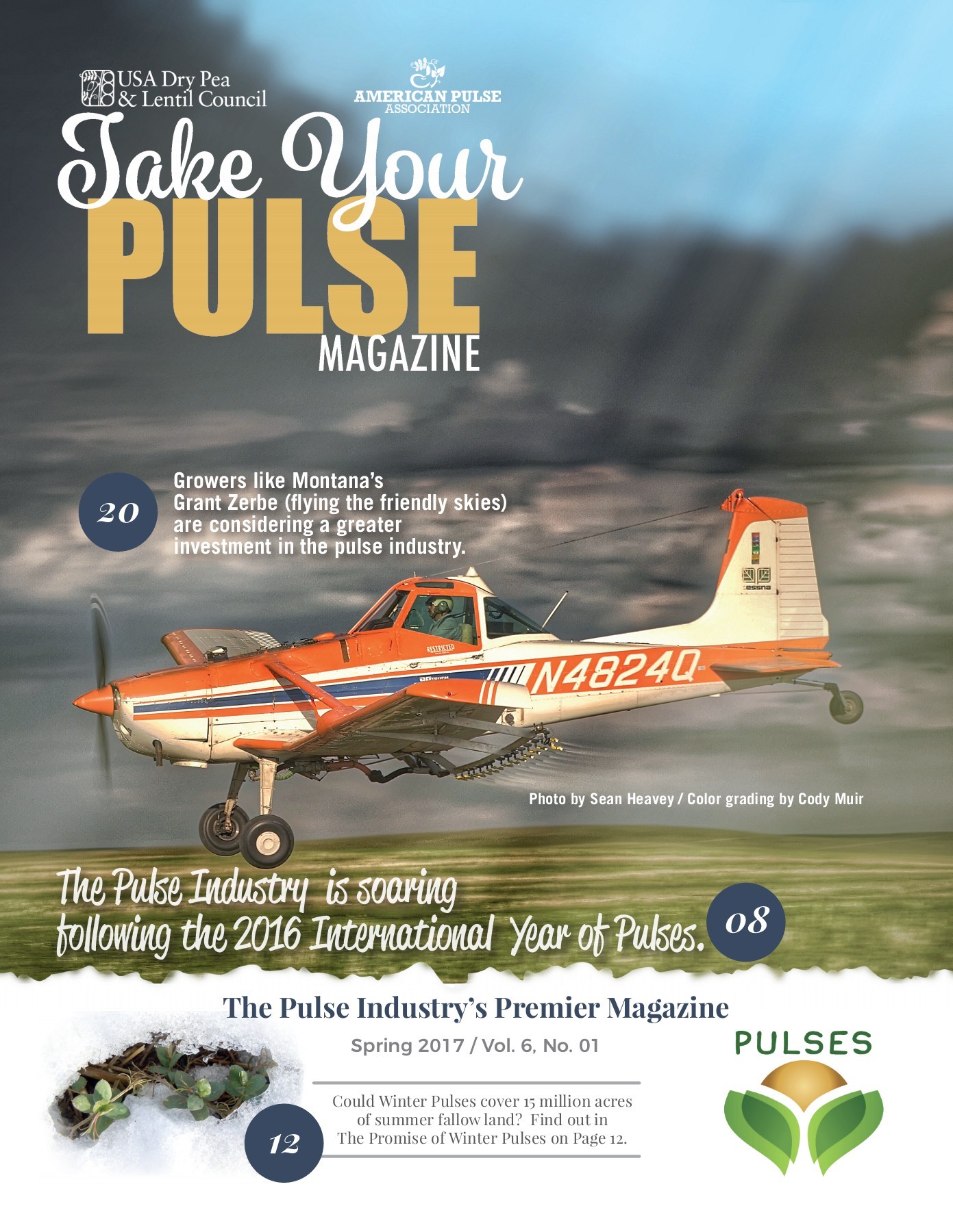 Take Your Pulse - Vol 6 No 1 - Spring 2017